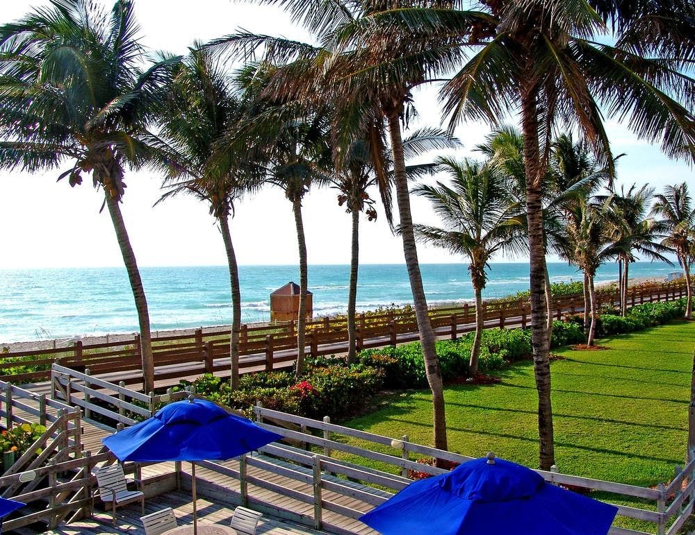 Billede av hotellet Four Points by Sheraton Miami Beach - nummer 1 af 20