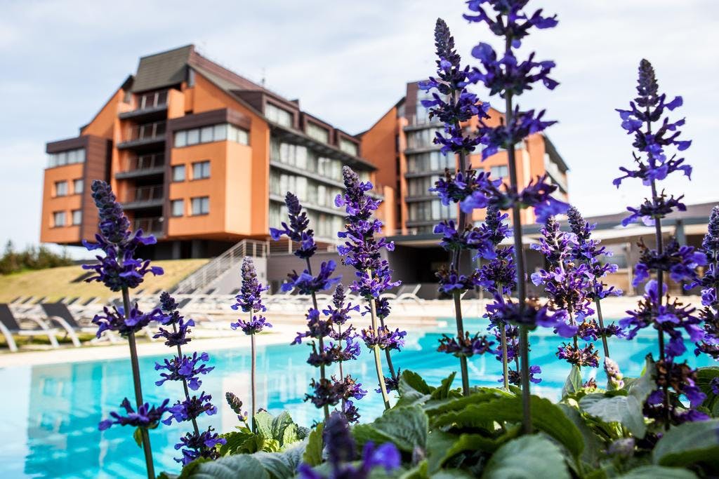 Hotellbilder av Vanagupe Hotel - nummer 1 av 12