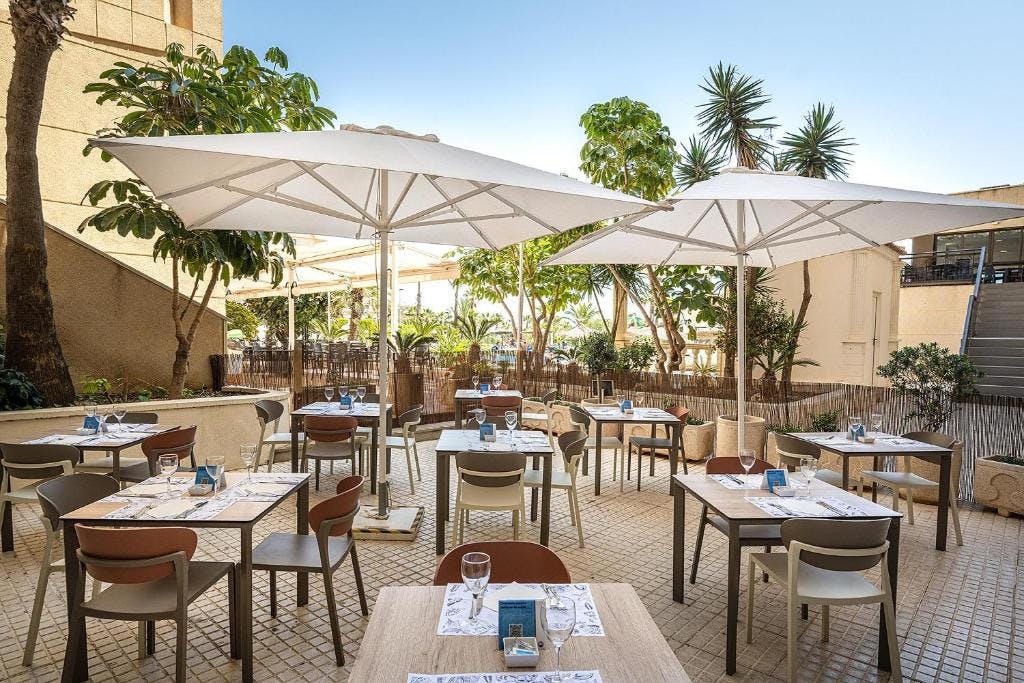 Billede av hotellet Hotel Playas de Torrevieja - nummer 6 af 14