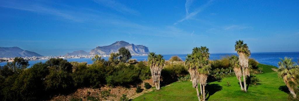 Billede av hotellet Hotel Villa D'Amato - nummer 4 af 6