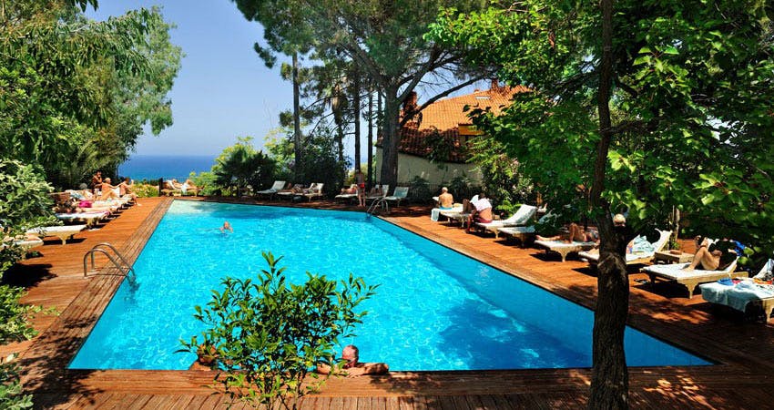 Billede av hotellet Hotel Alberi del Paradiso - nummer 1 af 19