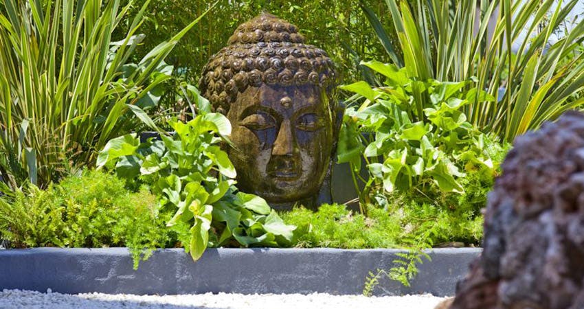 Billede av hotellet Sunset Beach Club - nummer 5 af 14