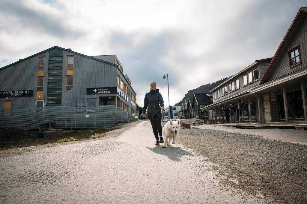 Billede av hotellet Svalbard Hotell Lodge - nummer 1 af 8