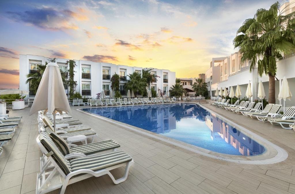 Billede av hotellet Club Shark Hotel - nummer 1 af 10